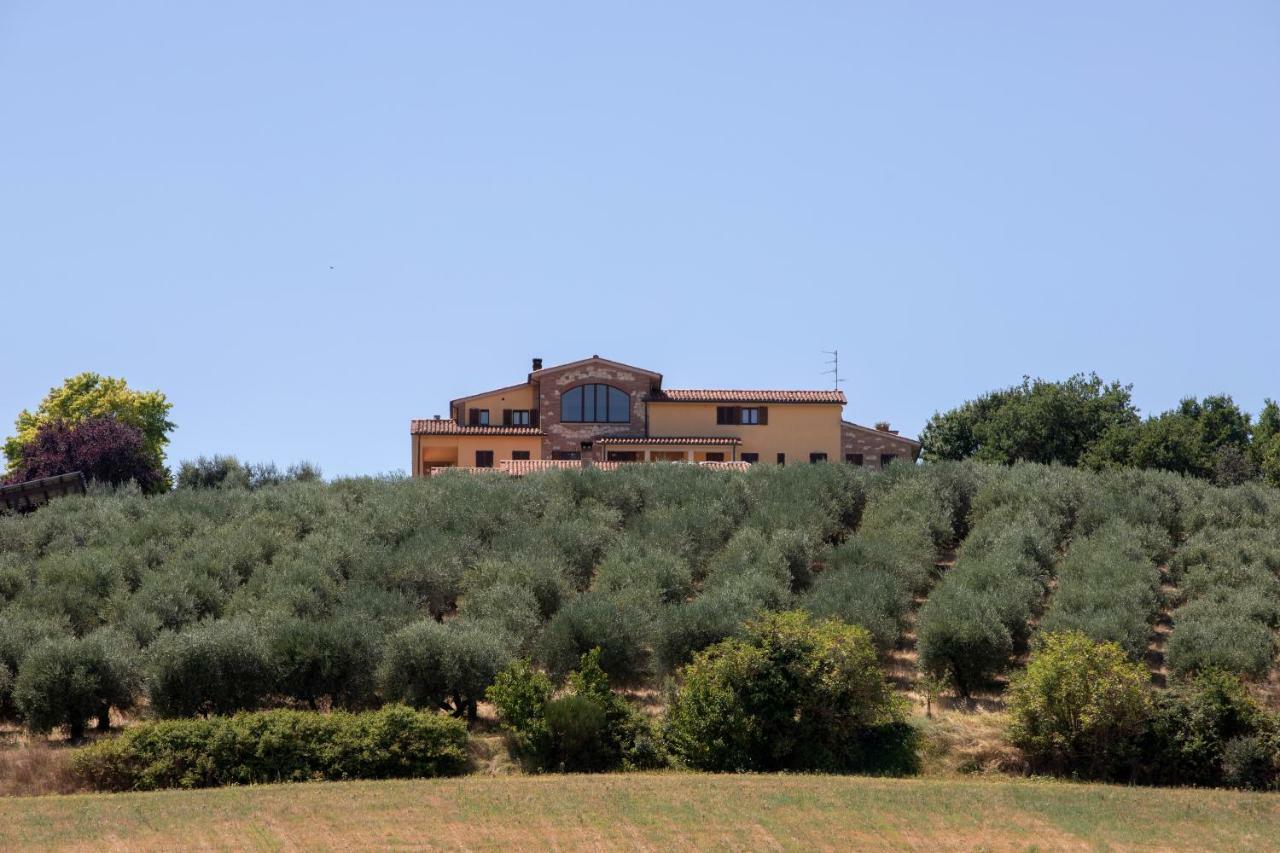 B&B La Casa Fra Gli Olivi Маршано Экстерьер фото